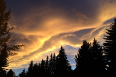 Day Retreats Gracefully - DMD