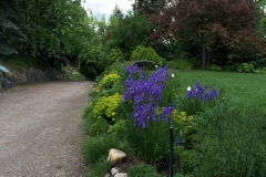 Along the Driveway - DMD