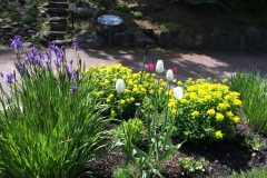 Closer to the Driveway - DMD