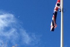 Brilliant Blue - DMD