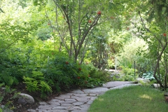 Brockington's Lawn - DMD