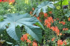 Almost Tropical - Rod. L