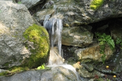 Babbling Falls - Rod L.