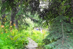 So Many Pathways