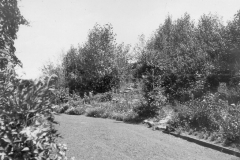 Our Backyard 1923