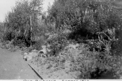 Our Backyard 1920