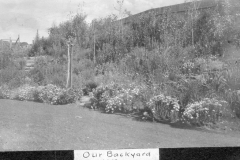Our Backyard 1919