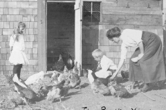 The Poultry Yard