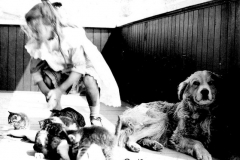 Pets