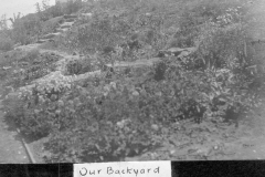 Our Backyard 1914