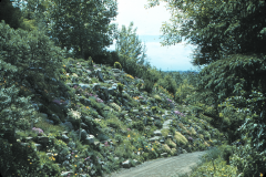 High_Rockery_RE95F1~1
