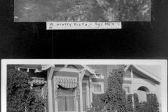 A wealth of Climbers