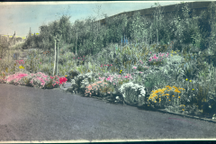 Colourized Photo of Yard