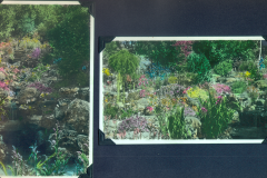 Garden in colour
