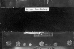 Indoor Gardening