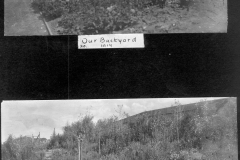 Our Backyard 19141919