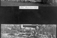 Rockgarden and Alpines