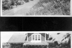 The House Clothed #2