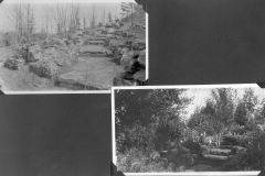 View of garden before and after