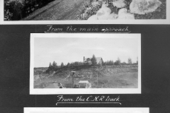 View of yard from below