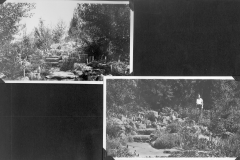 Views of Garden