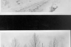 Yard in Winter